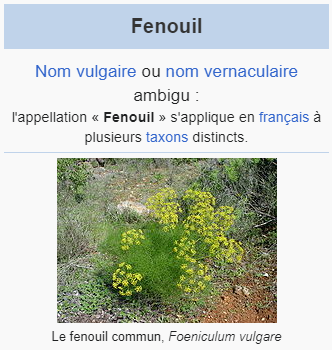 Fichier:Fenouil.png